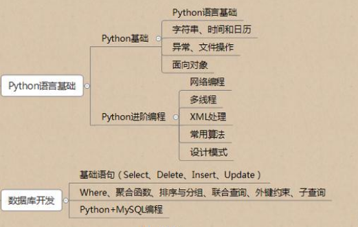 软件开发