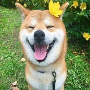 汇智动力