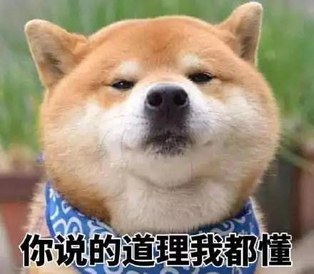 烫烫烫烫烫烫!