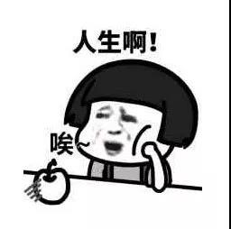 那个失业的张猫猫,他来了,他又来了