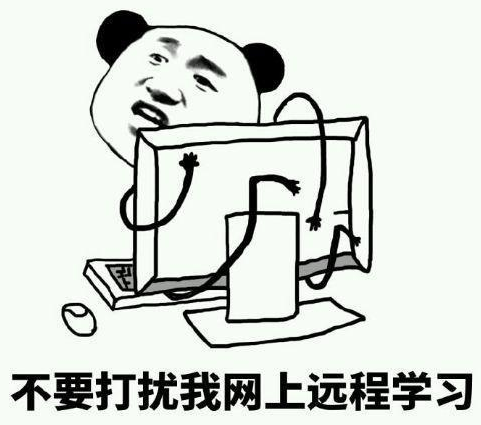 编程新手如何快速提高开发能力