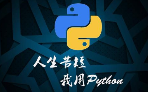 python到底怎么使用